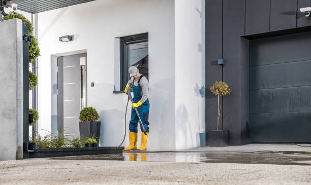 Best Rust Removal  in Los Gatos, CA